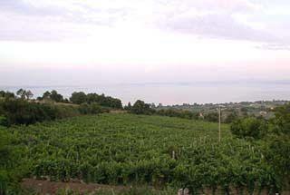 Pensjonat Agriturismo Belvedere Bolsena Zewnętrze zdjęcie